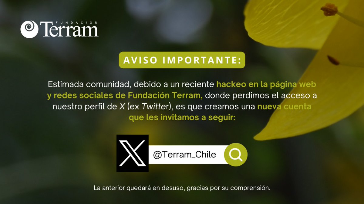 Estimada comunidad, debido a un reciente hackeo en las cuentas de Terram, donde lamentablemente perdimos nuestra cuenta de X, es que les invito a seguir y difundir nuestro nuevo perfil: <a href="/Terram_Chile/">Fundación Terram</a>

La anterior quedará en desuso, gracias!