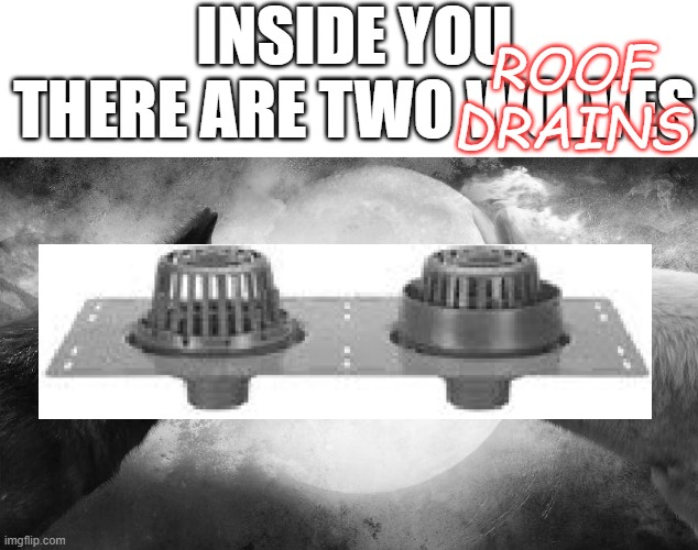 Big Fan of Building Science tweet media