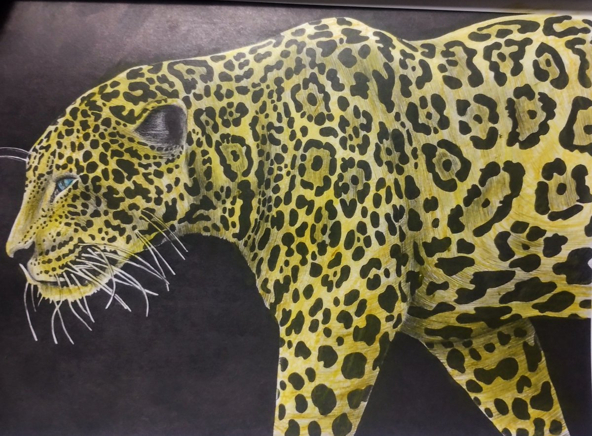 Hubbybubble's tweet image. Couple of Pastels done tonight #Pastels #Wildlife #colou
