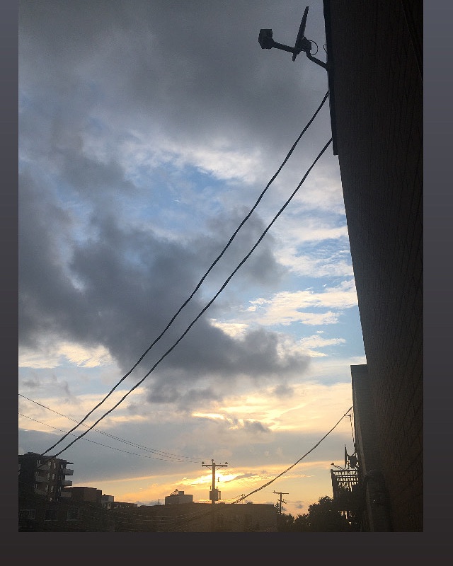 rinadecolamtl's tweet image. 