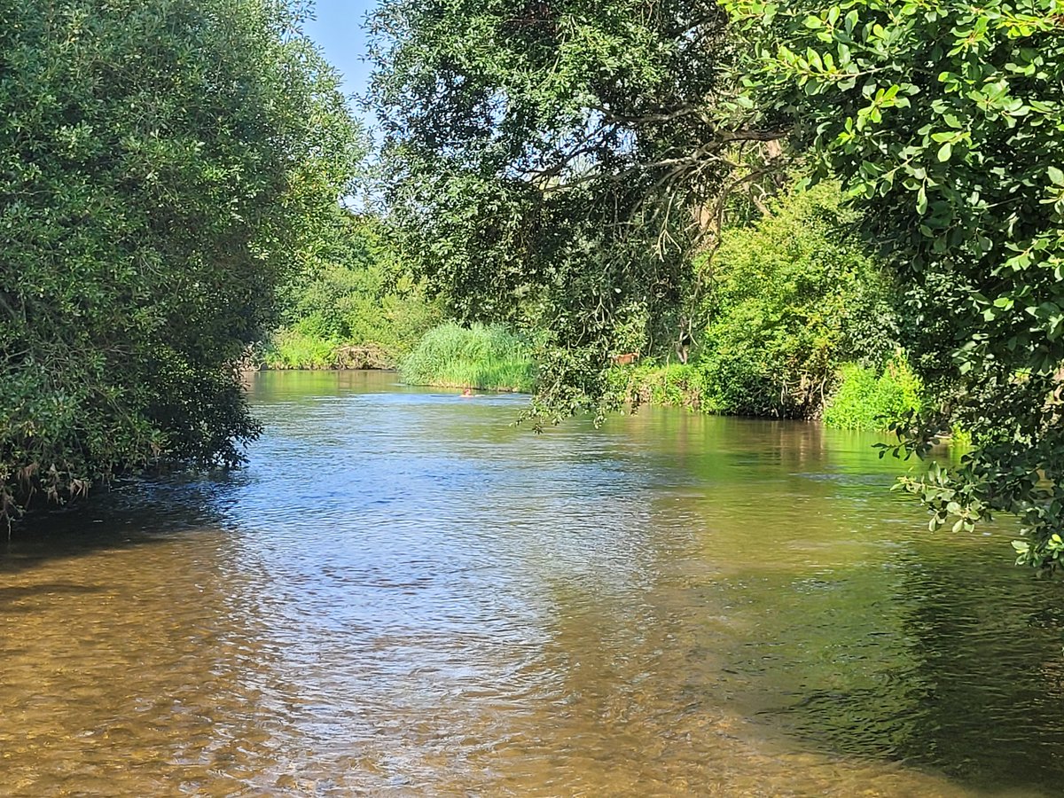 BRADEYchris's tweet photo. #Holmebridge #Dorset wild swimming https://t.co/Ac3LDwwGLS