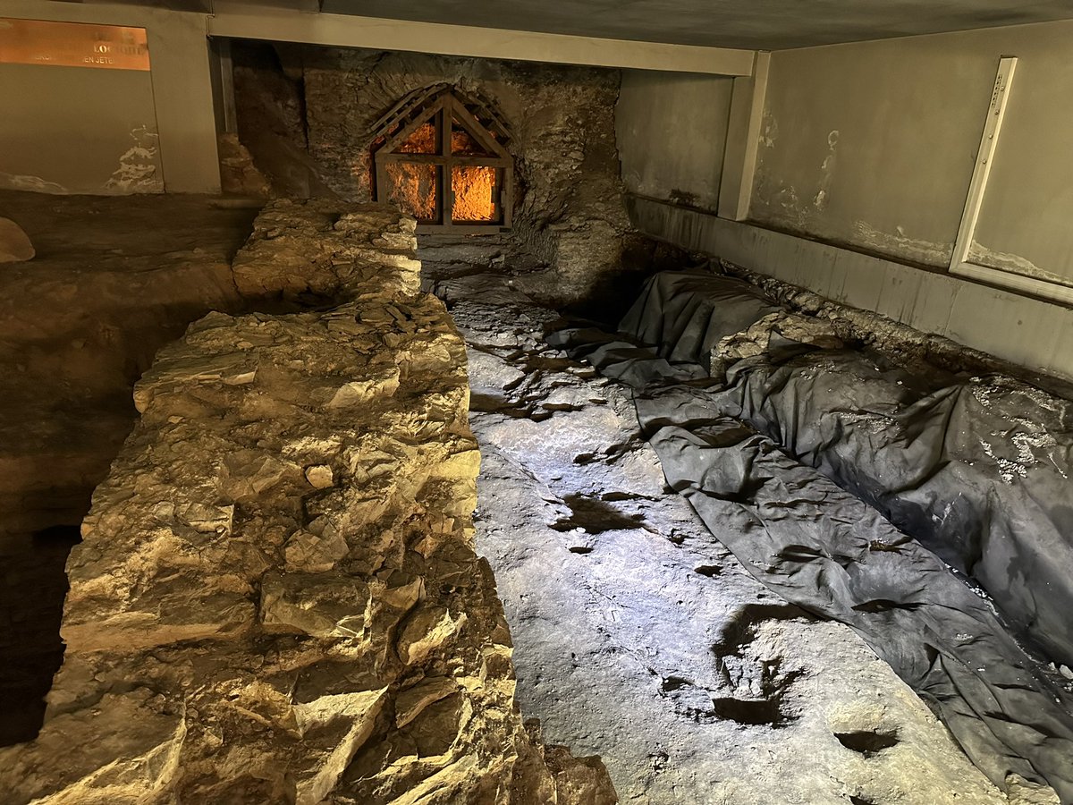 Lesley Candlin tweet media