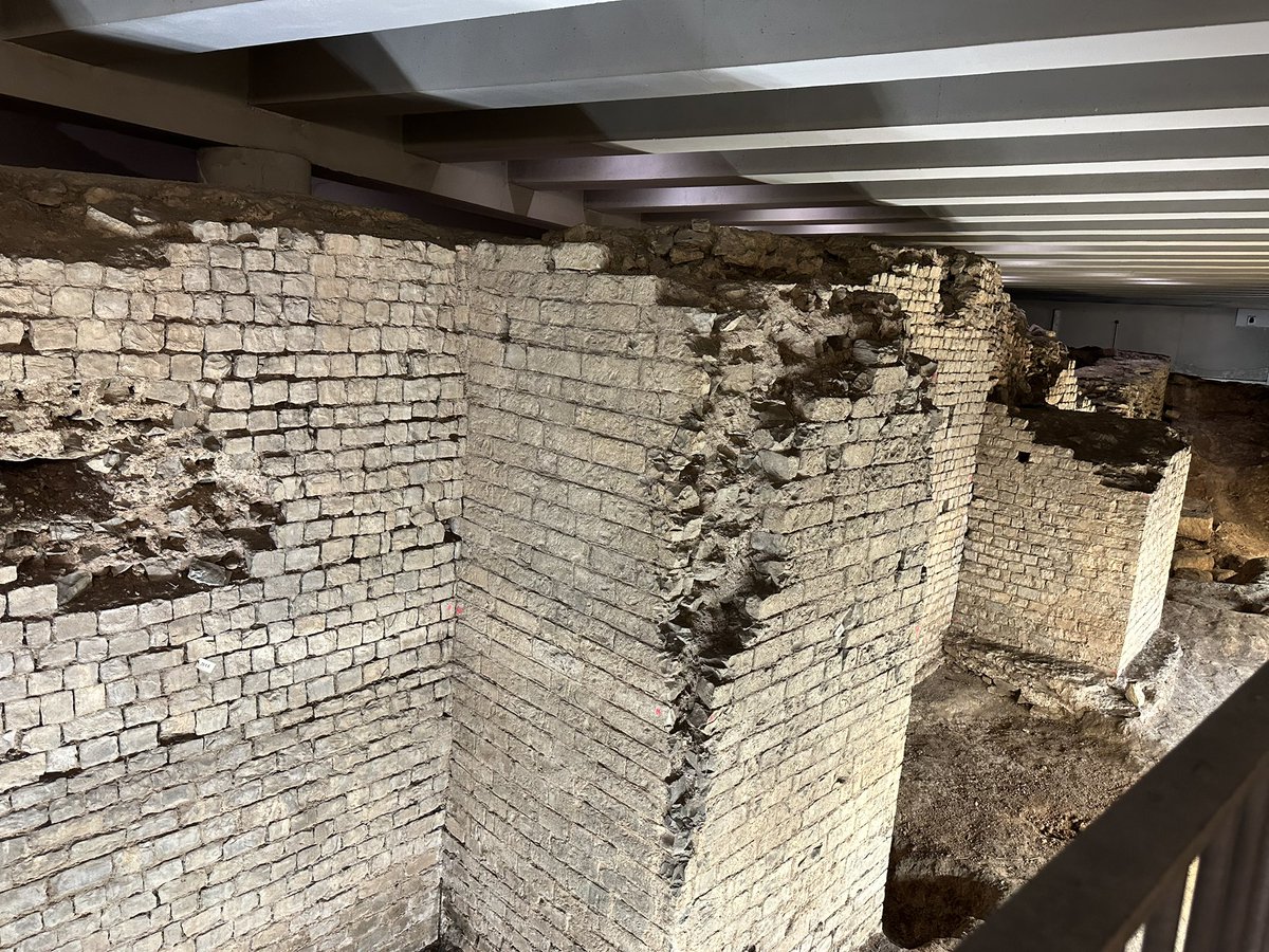 Lesley Candlin tweet media