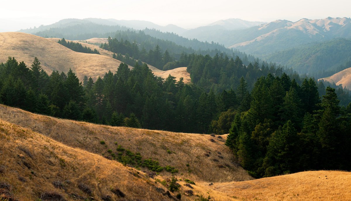 lancekuehne's tweet photo. Bolinas Ridge - August, 2018 - Mt Tamalpais is beautiful in the summer with sweeping vistas like this one. I will be leading a workshop there this Sunday. There is still space if you want to join in. #photography https://t.co/eryoQstokq https://t.co/OnfWUOaYzO