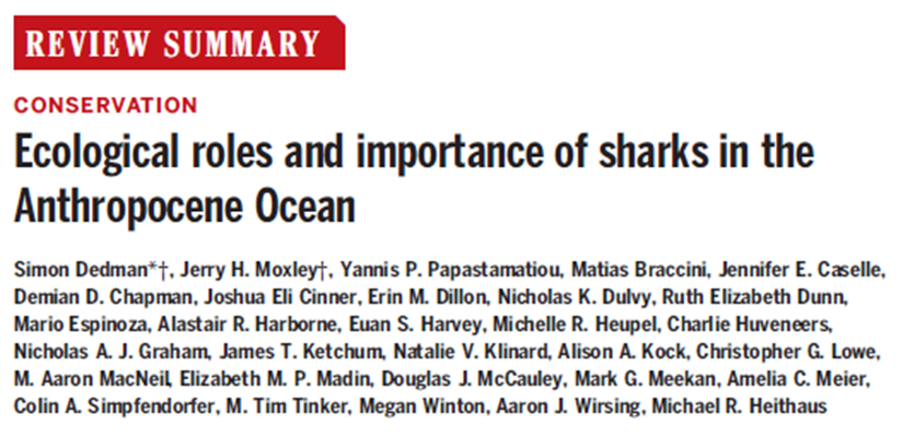 Charlie Huveneers (@huveneerssseg) on Twitter photo Just off the press in <a href="/ScienceMagazine/">Science Magazine</a> tinyurl.com/52e295m3 Sharks play diverse roles in aquatic ecosystems. Management and conservation should go beyond abundance metrics and move towards rebuilding and sustaining shark function and role in these systems.
📷Laurent Ballesta Just off the press in <a href="/ScienceMagazine/">Science Magazine</a> tinyurl.com/52e295m3 Sharks play diverse roles in aquatic ecosystems. Management and conservation should go beyond abundance metrics and move towards rebuilding and sustaining shark function and role in these systems.
📷Laurent Ballesta