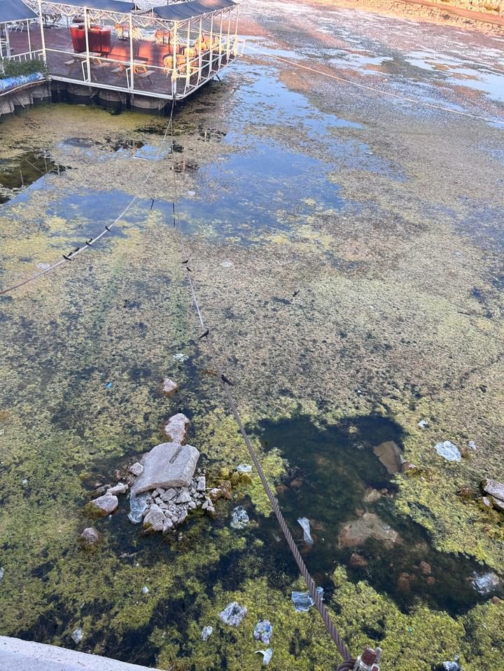 Eğirdir’in son hali ❗️
Ne kadar üzücü…
Yok olup giden bir değer. Hiç bir önlem alınmıyor.
Korkarım ki geri dönüşü olmayan bir yola girildi…
(Fotoğraflar bugün çekildi)