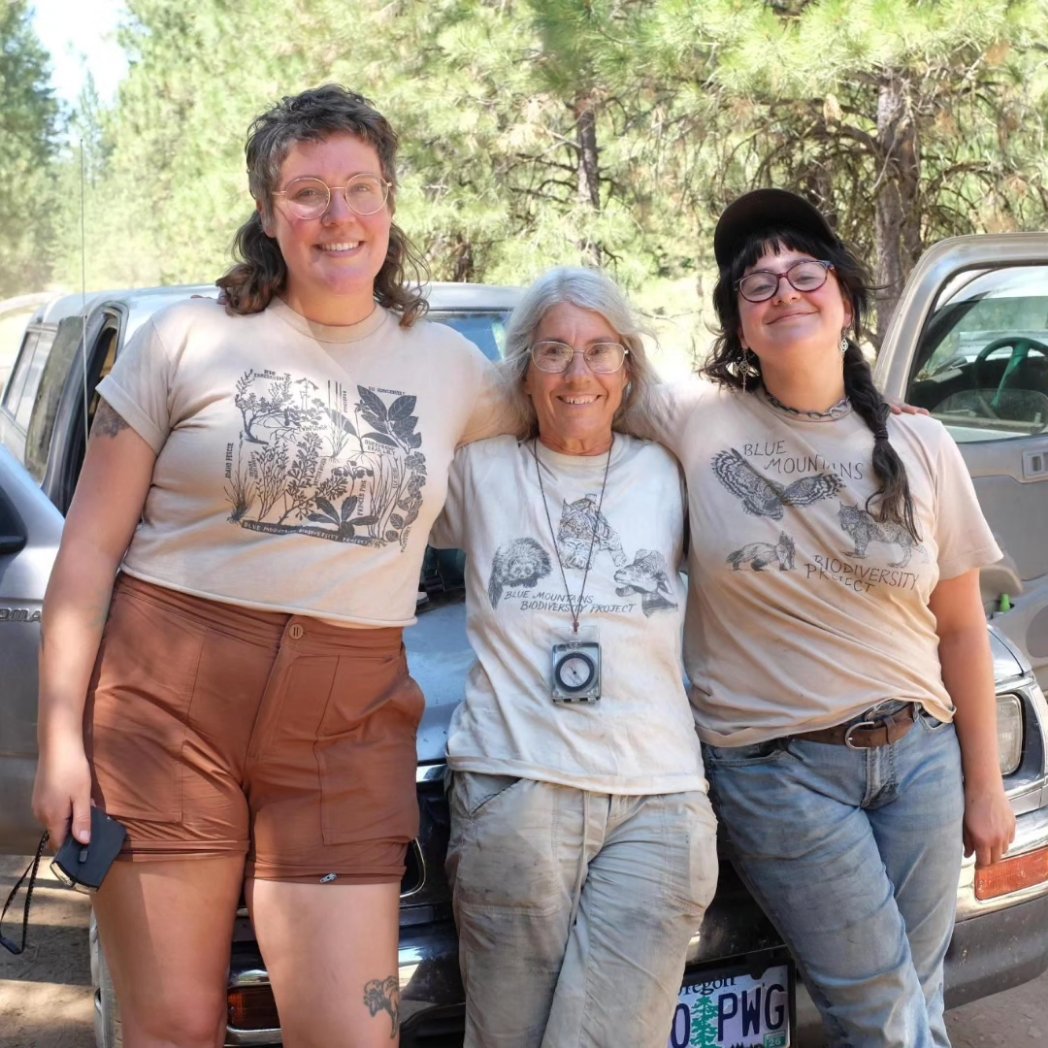 BlueMtnsBio's tweet photo. There's still time to come survey with us this Summer! Here's a few volunteers in the Suffering Springs sale on the Wallowa Whitman National Forest this month. https://t.co/nIME3PBQ32