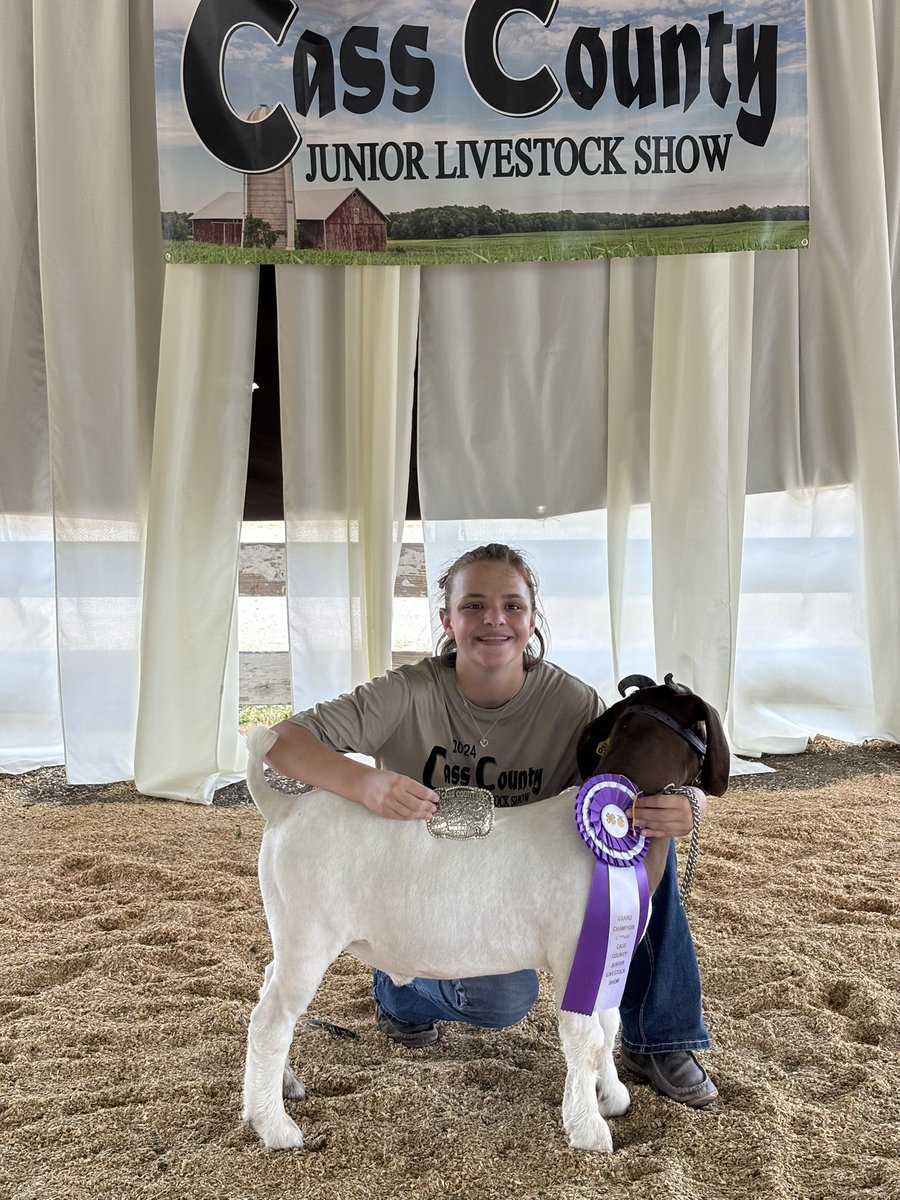 MrsRegersRoom's tweet photo. CCJLA Results

Colton Banks- Grand Champion Market Hog

Mylea Shaw- Reserve Grand Champion Market Hog 

Meah McCoy- Grand Champion Cass County Market Goat

Brayden Dunivan- Blue Ribbon, Bacon Show https://t.co/SqP0pquFEJ