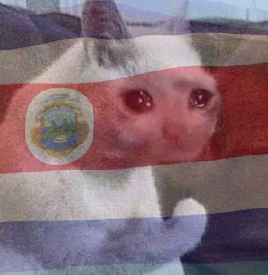 toda costa rica viendo a brisa levantar los bracitos después de salir de ese túnel