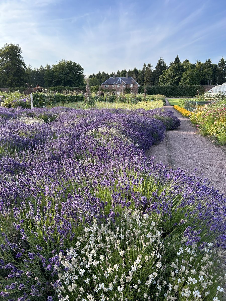 Zara Gordon Lennox tweet media