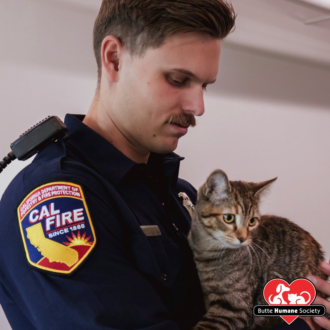 buttehumane's tweet photo. We’re offering cost-covered microchipping for all #ButteCounty residents starting today. This ensures lost pets can be quickly returned if separated, especially in emergencies. Donate to contribute to the microchip fund https://t.co/O5LZDxA1Dn  #Parkfire #Lostpets https://t.co/4D51WYiQIr