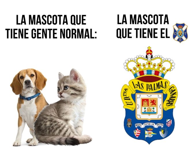 notca 🏴󠁧󠁢󠁳󠁣󠁴󠁿 (@notcanarian) on Twitter photo 