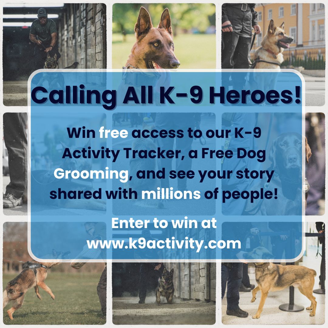 SeeItSendIt's tweet image. 🚨 ATTENTION K-9 HANDLERS AND HEROES 🚨

Our big contest starts TODAY!

Visit k9activity.com to share YOUR story TODAY!!

#K9Heroes #K9Handlers #K9Contest #K9Appreciation