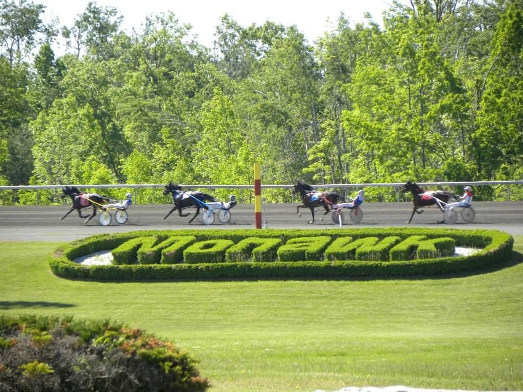 Free Selections|Woodbine-Mohawk Park Sat Aug 3rd,2024 <a href="/SugarDoyle/">Shannon 'Sugar' Doyle</a> <a href="/atbforum/">ATBFORUM</a> 
atbforum.com/free-selection…