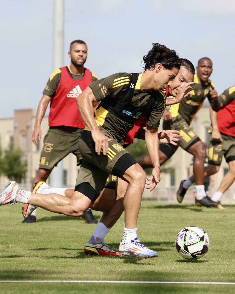 TigresOficial's tweet image. 🔛🙌🏼 ¡Enfocados, fuertes y a trabajar de cara a nuestro partido vs. Miami!

¡Vamos los Tigres! 🐯