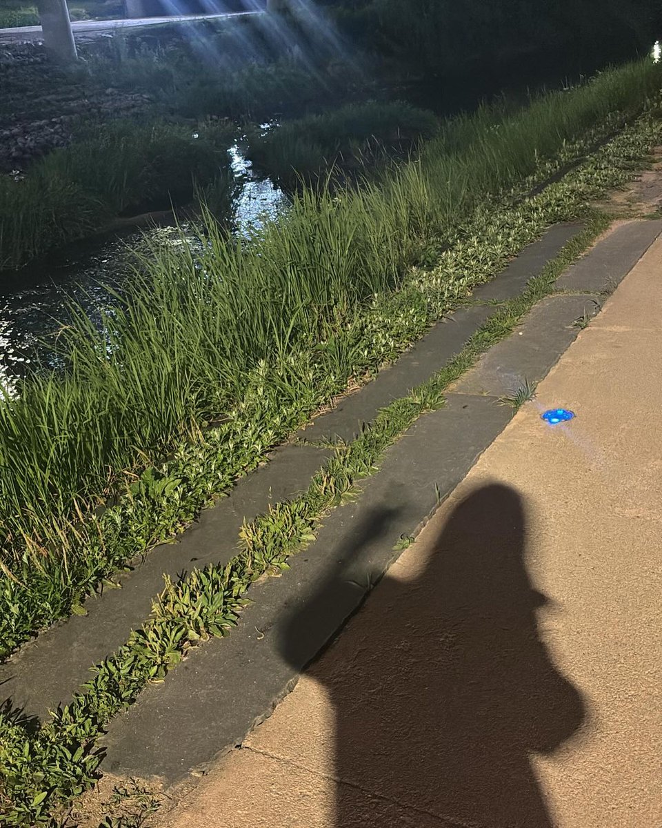 ㅤ 
Another good month has been accomplished~!
ㅤ