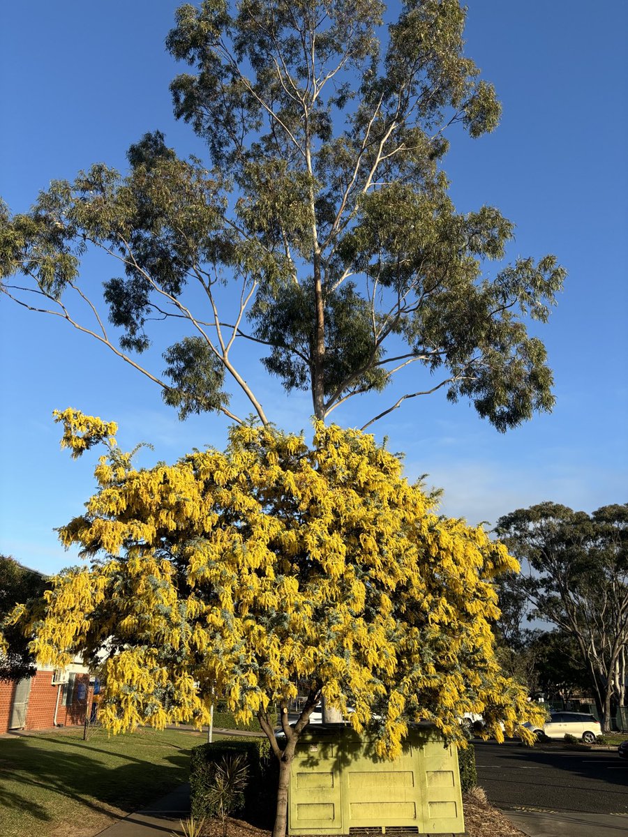 Jason White tweet media