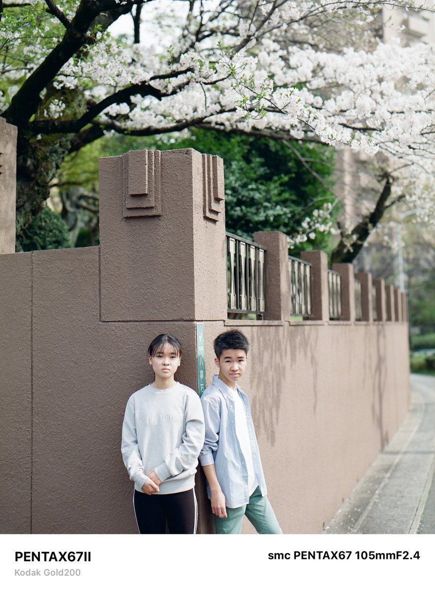 p_haya_p's tweet photo. Somewhere, Nagoya, April 2024
#PENTAX67II
#develop_by_frame
#hayafilm120
#lifewithkodak
#gold200
#あの日の足跡
#普通で特別な毎日 https://t.co/A1JIoyxvze