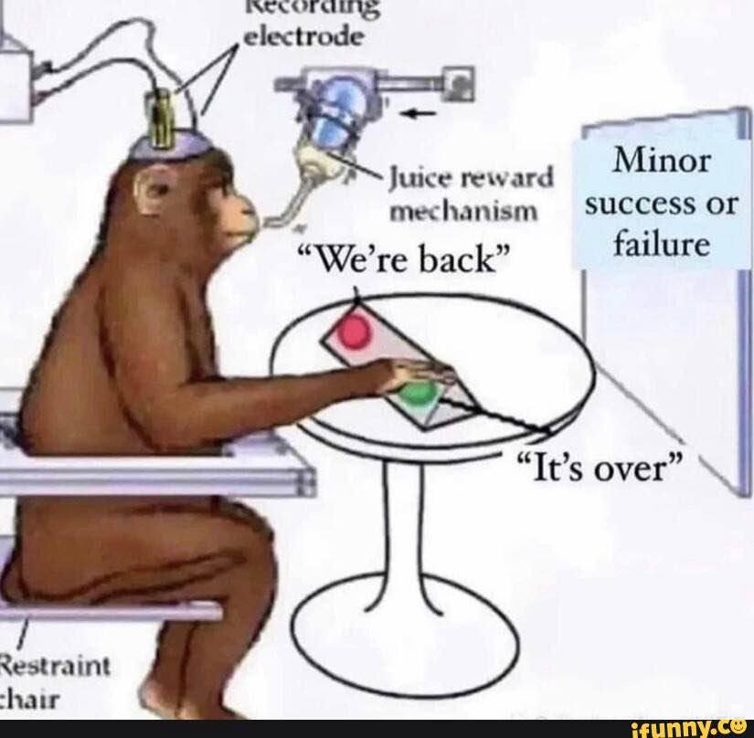 Tradermayne tweet picture
