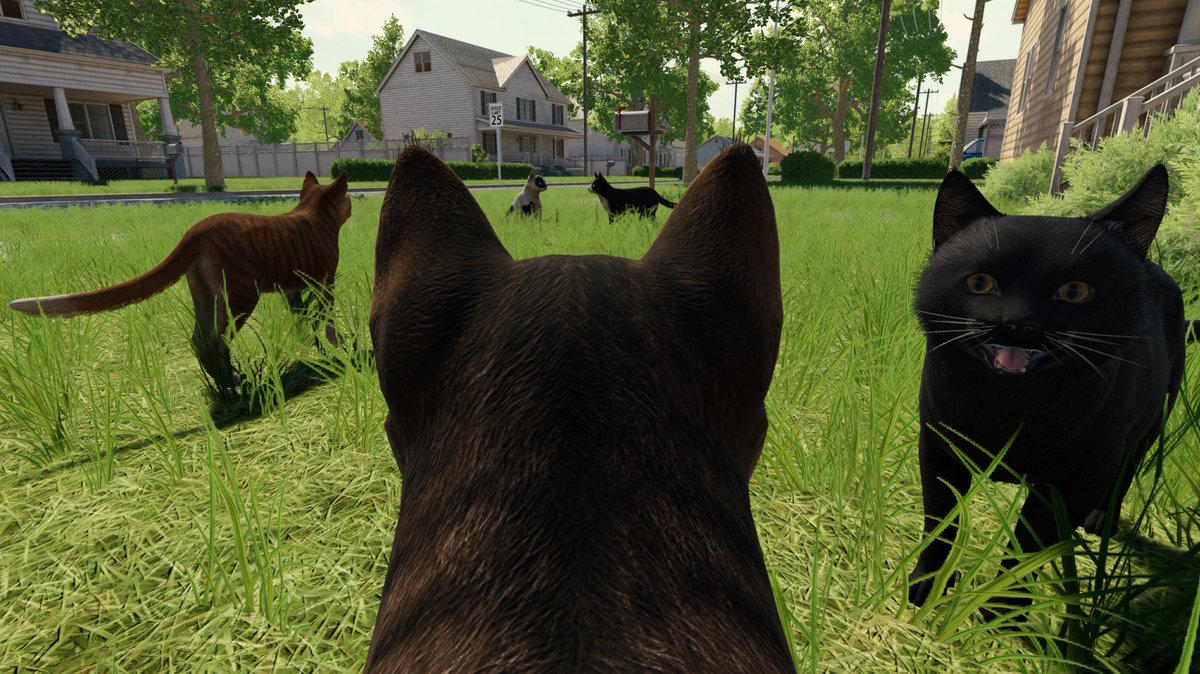 Working on a new game - Reign of Cats

mysticeragames.com/games/reign-of…

#reignofcats