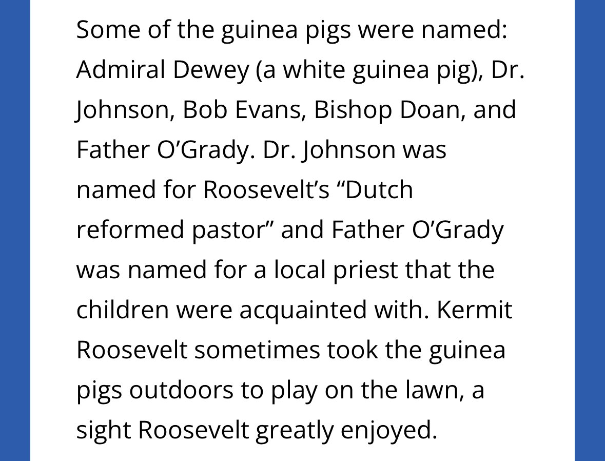 max nussenbaum tweet media