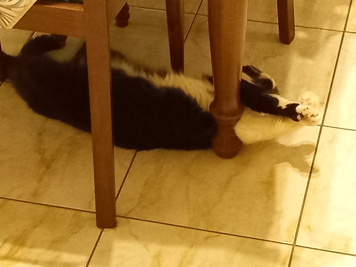 <a href="/Papaverargemo/">Anna S.</a> Gli manca  il mantello rosso e poi pare Sasamen.... <a href="/bannamitutto/">Antonio NPLStateOfMind</a> <a href="/amicofracito/">Fracito Sciosciammocca</a> 📞  "Napoli è in pericolo"