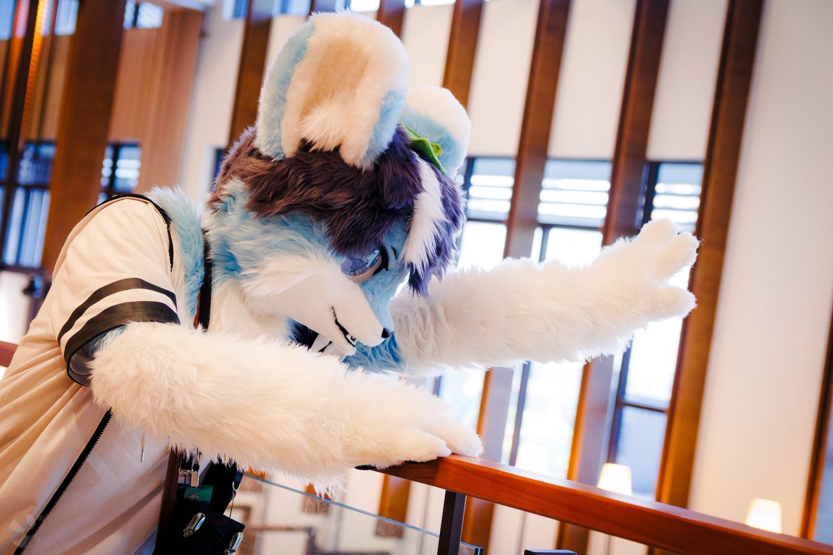 Chocopufurei's tweet photo. 「やほ~！！！」

#Fursuitfriday
📷：@shrimp_furry https://t.co/KDg0kRiHBW