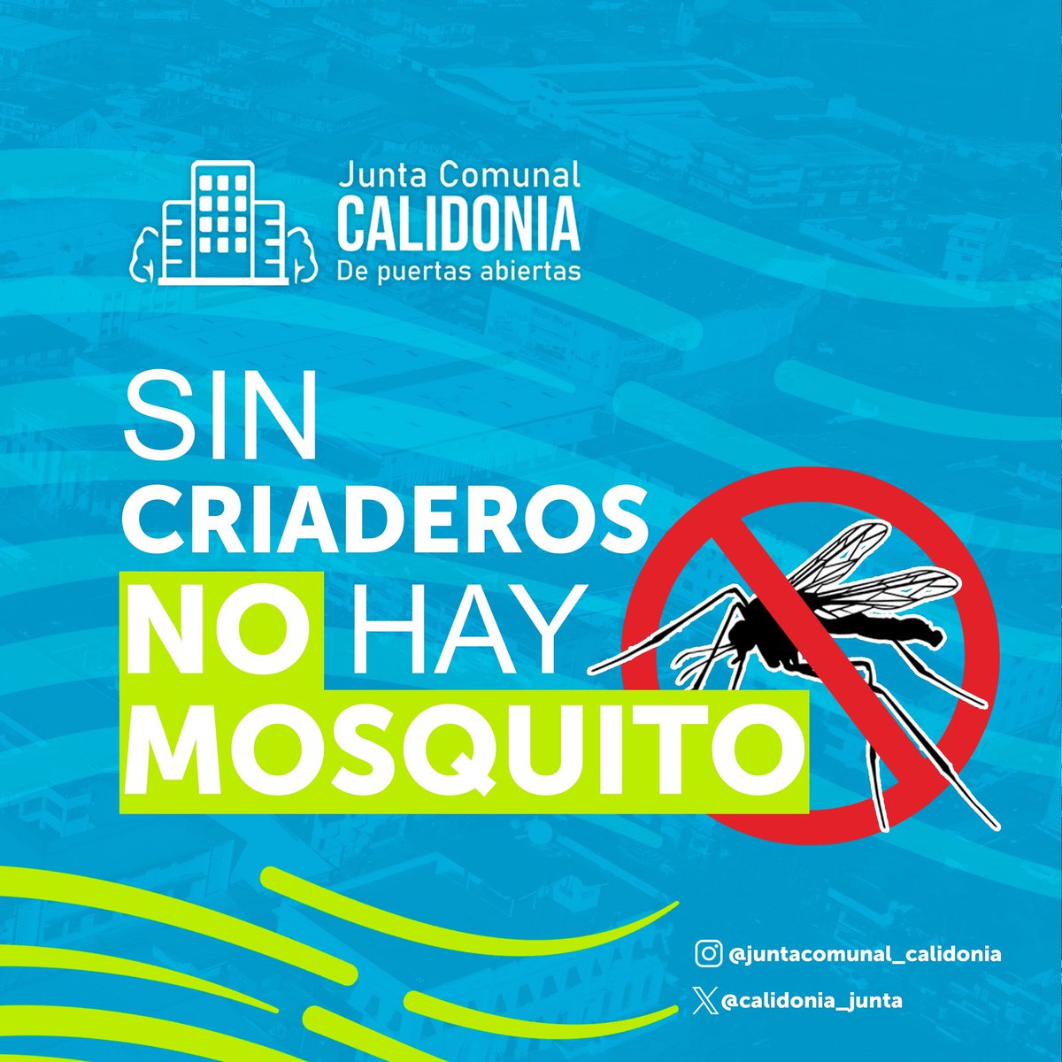 Sin criaderos no hay mosquitos.

#juntacomunaldepuertasabiertas