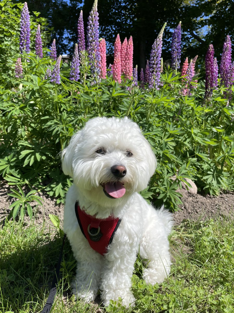 Jenn Sampson tweet media