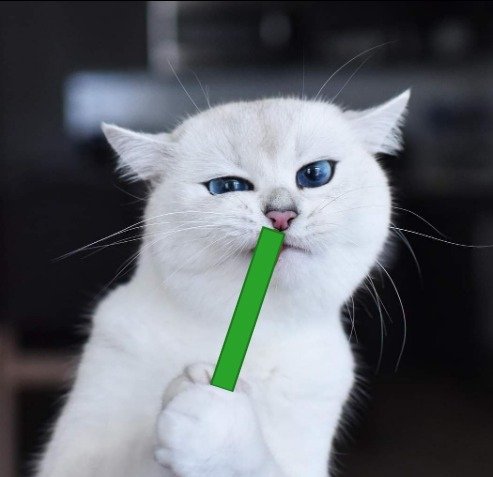 Switching gears from followers to leaders
Jeets are gone, Chads still holding 

#WCC #Clawsout  $WCC