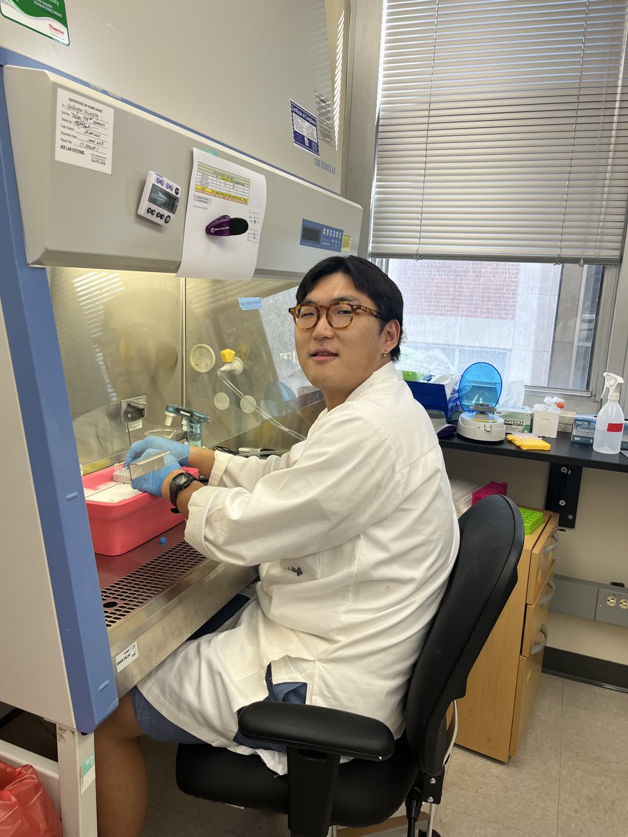 Elizabeth Pollina tweet media