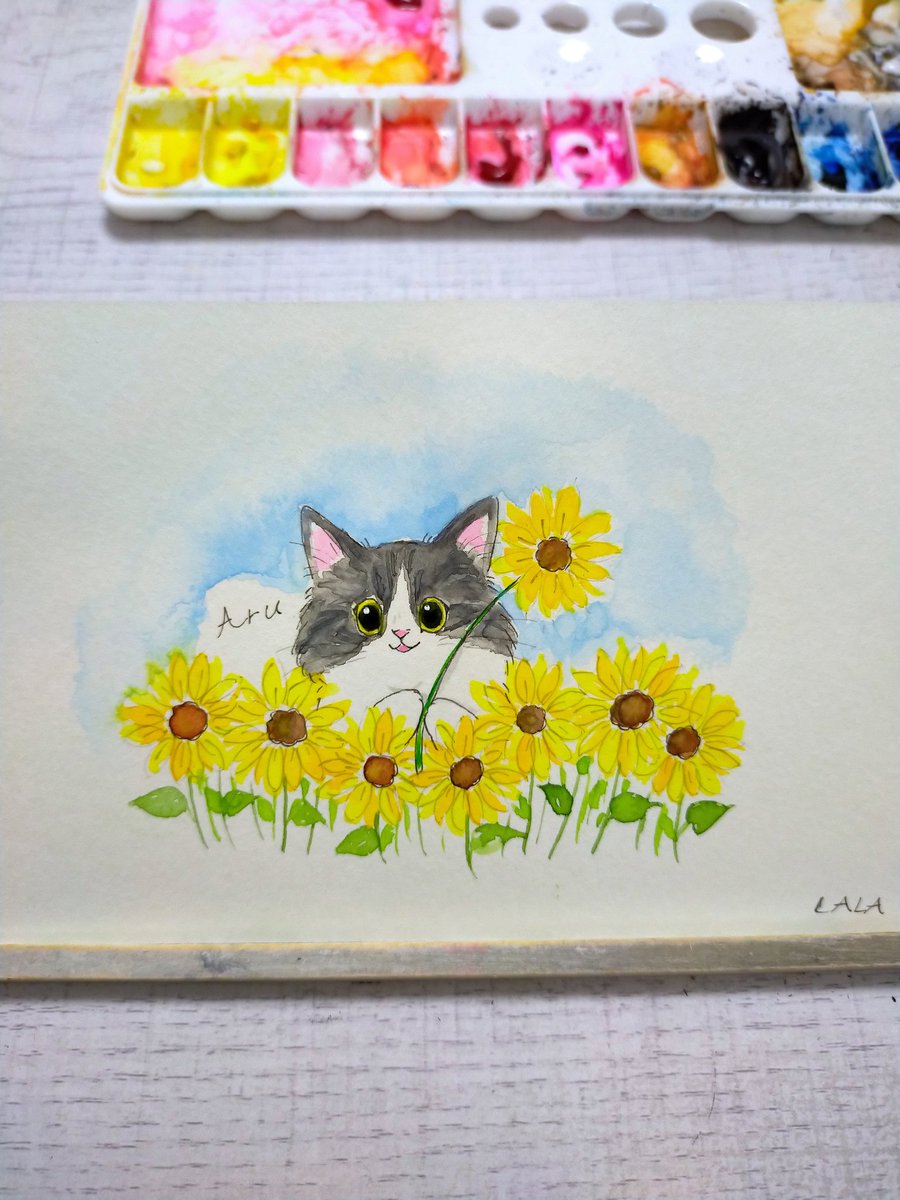 lalastamp's tweet photo. 朝から暑いにゃんね☀

🎨手描き、水彩絵の具で描いてます
#ひまわり #猫 #広島 #イラスト
#猫好きさんと繋がりたい https://t.co/Upqo56X3WU