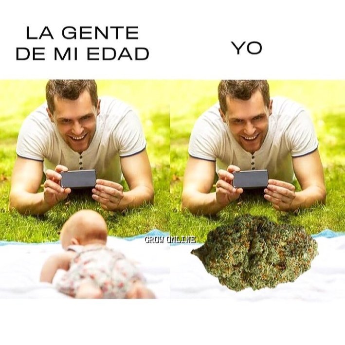 El Paragua Venenoso (@elparaguayo1231) on Twitter photo 
