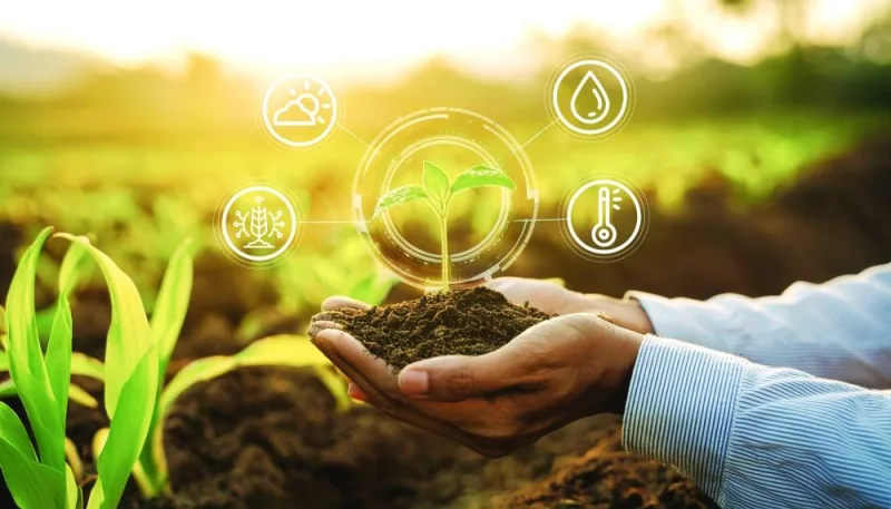 GulfTimes_QATAR's tweet photo. #Smart_farming solution to #climate crisis and co-operation with #Qatar
https://t.co/gqpJy4PSzY https://t.co/Uv5daql2dc