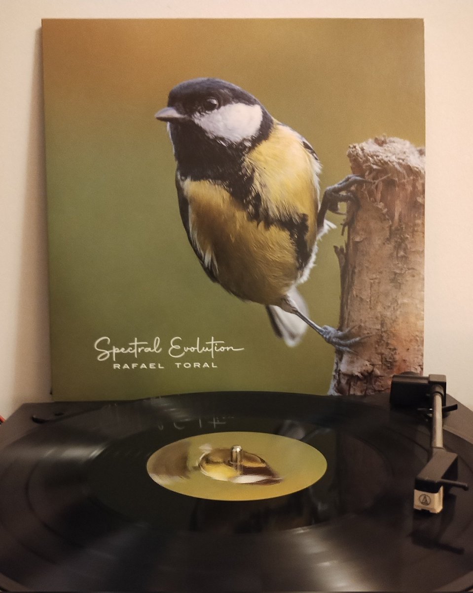 deselbysgold's tweet photo. #AlbumOfTheNight (late version)
Rafael Toral: Spectral Evolution
❤️
https://t.co/2or0hfXm8H https://t.co/0IEWYigMVf