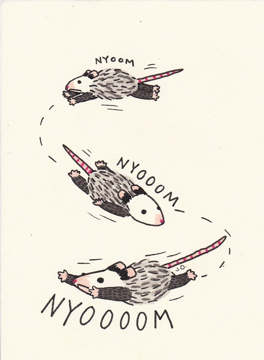 possum mood (@possum_mood) on Twitter photo 