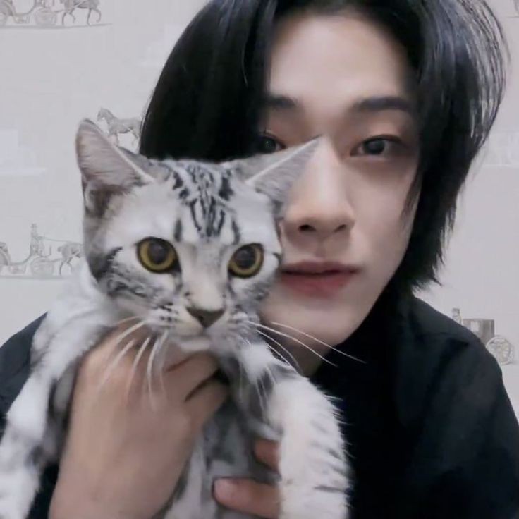 bbbcake_'s tweet image. ᅟᅟᅟᅟᅟᅟᅟᅟᅟᅟᅟᅟᅟᅟᅟᅟᅟᅟᅟᅟᅟᅟᅟ
─ 𝖬𝗼𝗂   𝗲𝗍    𝗆𝗼𝗇   𝗳𝖾́𝗹𝗂𝗻   𝖧𝗶𝗋𝗼, 
  𝗺𝖺   𝗆𝗶𝗀𝗻𝗈𝗻𝗇𝗲.

ᅟᅟᅟᅟᅟᅟᅟᅟᅟᅟᅟᅟᅟᅟᅟᅟᅟᅟᅟᅟᅟᅟᅟ