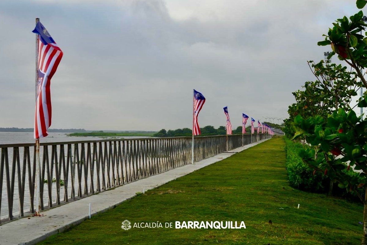 AlejandroChar's tweet photo. Hoy inicia oficialmente la celebración del #CentenarioRojiblanco, nuestro amado equipo. 

A lo largo del Gran Malecón ondean más de 200 banderas en honor a un siglo de pasión y orgullo rojiblanco. Esta conmemoración no solo destaca la grandeza de nuestro club, sino también la lealtad y el amor de todos los hinchas que han sido parte de esta increíble historia. ¡Vamos, mi @JuniorClubSA!