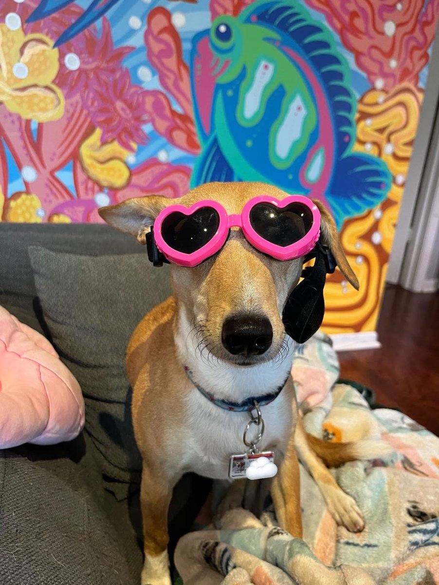 We dressed up to watch the Chappell Roan Lollapalooza livestream.