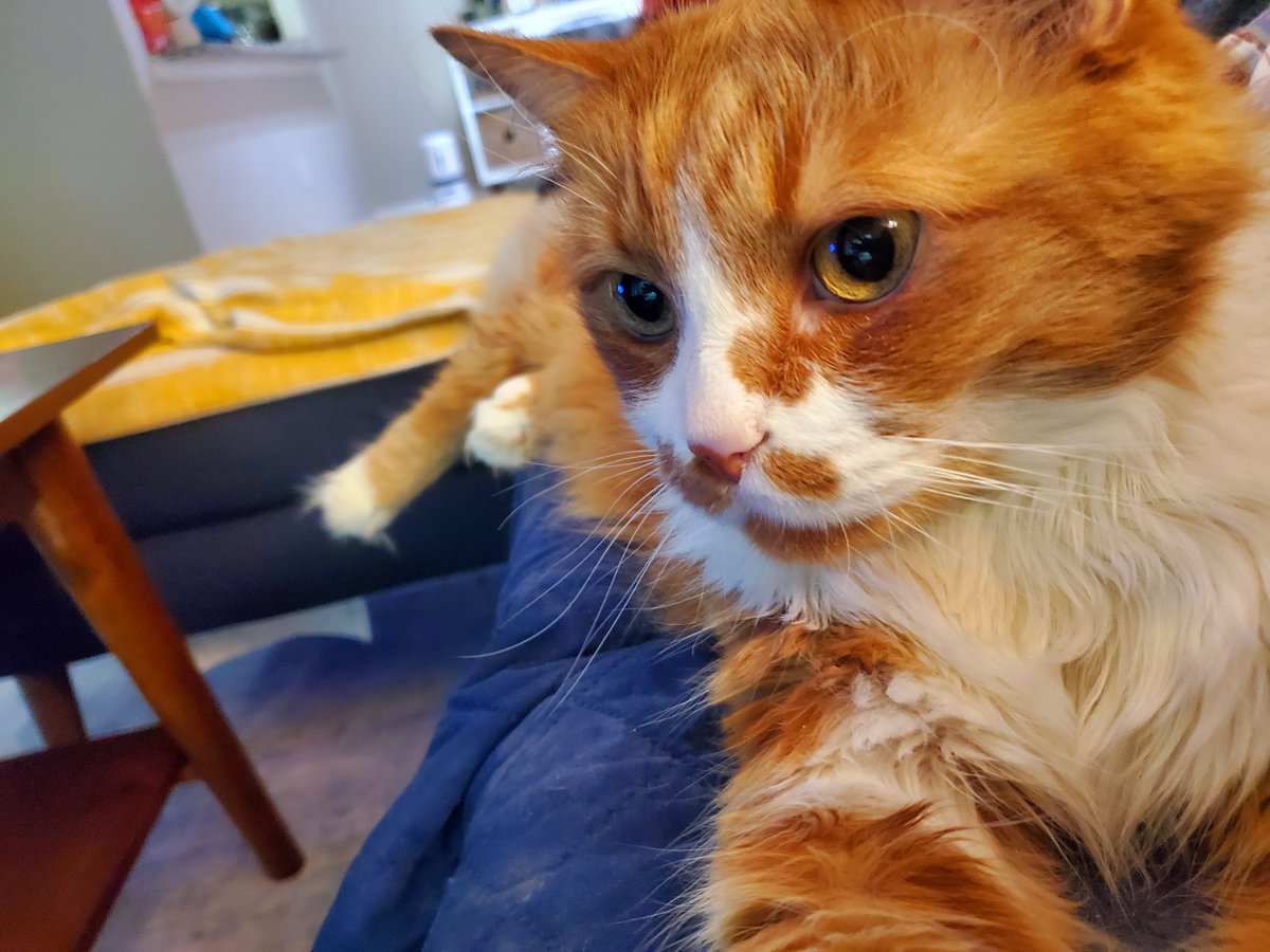 dave wagner tweet media