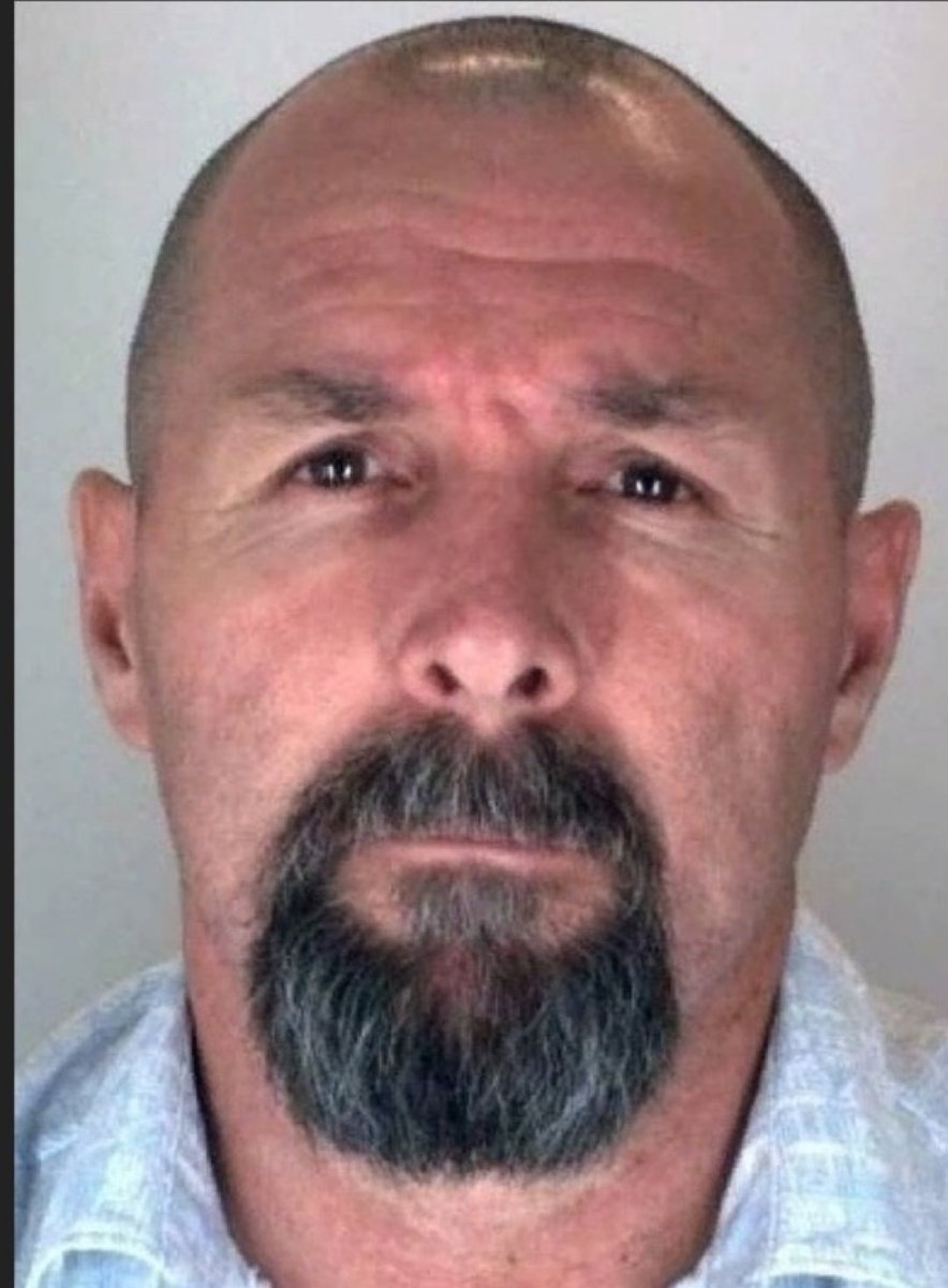 Вестник бури / Буревестник tweet media