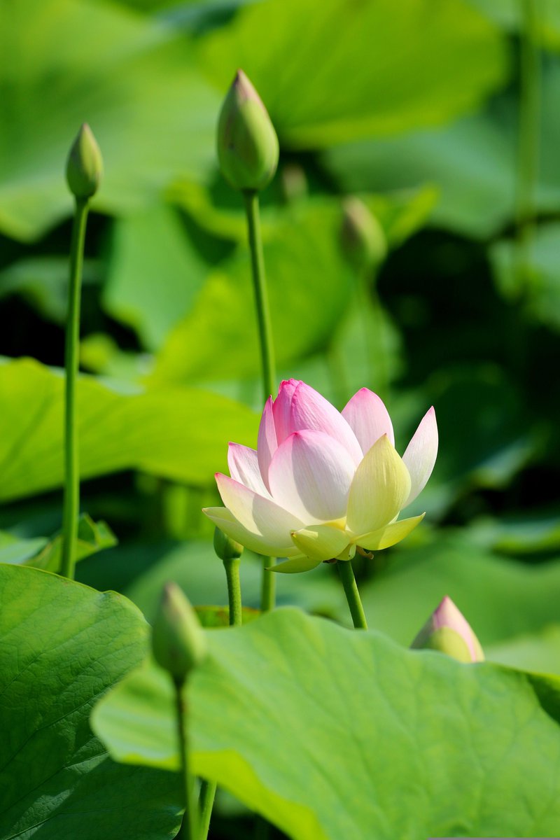 좋은 아침입니다.