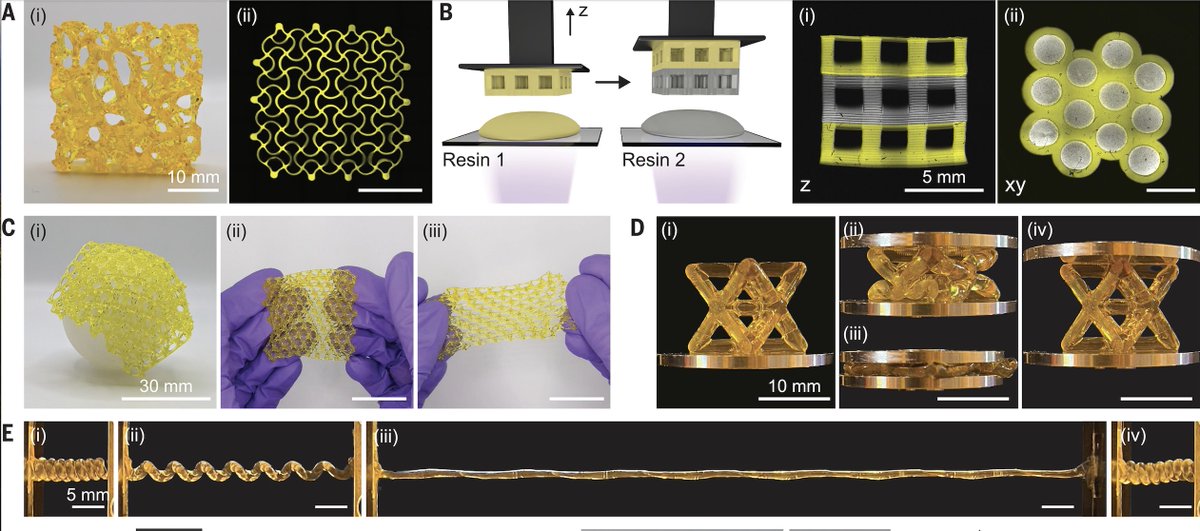 BurdickLab (@burdicklab) on Twitter photo Excited to share our new method in <a href="/ScienceMagazine/">Science Magazine</a> to advance the properties of DLP-printed materials.
This work was led by @apdhand & @fiber_matt in collaboration w/ <a href="/HannahZlotnick/">Hannah Zlotnick</a> & NIST colleagues.
Link: science.org/doi/10.1126/sc…
<a href="/CUEngineering/">CU Boulder Engineering 🦬</a> <a href="/pennbioeng/">Penn Bioengineering</a> <a href="/BioFrontiers/">BioFrontiers 💻🦠🧬🧪🧫💉📊📓</a> Excited to share our new method in <a href="/ScienceMagazine/">Science Magazine</a> to advance the properties of DLP-printed materials.
This work was led by @apdhand & @fiber_matt in collaboration w/ <a href="/HannahZlotnick/">Hannah Zlotnick</a> & NIST colleagues.
Link: science.org/doi/10.1126/sc…
<a href="/CUEngineering/">CU Boulder Engineering 🦬</a> <a href="/pennbioeng/">Penn Bioengineering</a> <a href="/BioFrontiers/">BioFrontiers 💻🦠🧬🧪🧫💉📊📓</a>