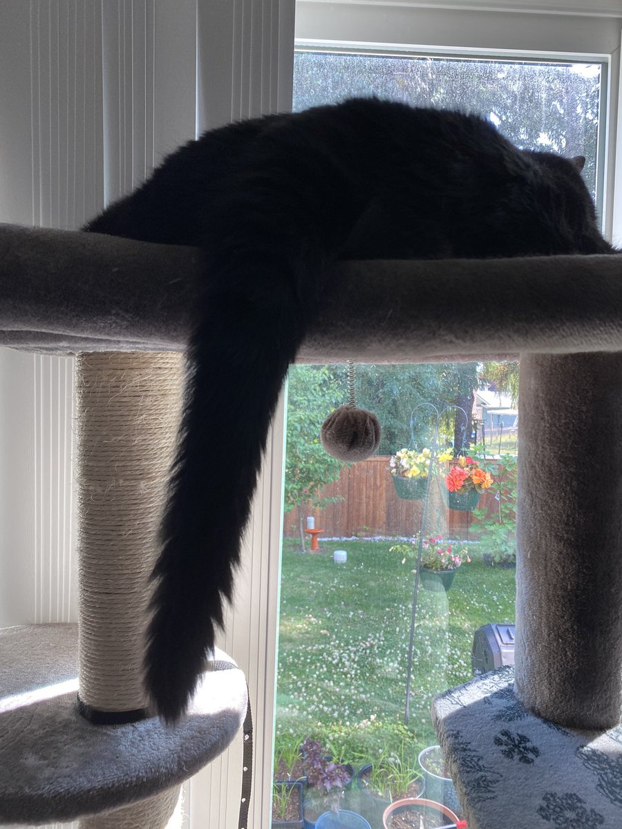 吃好睡好還得等吃瓜