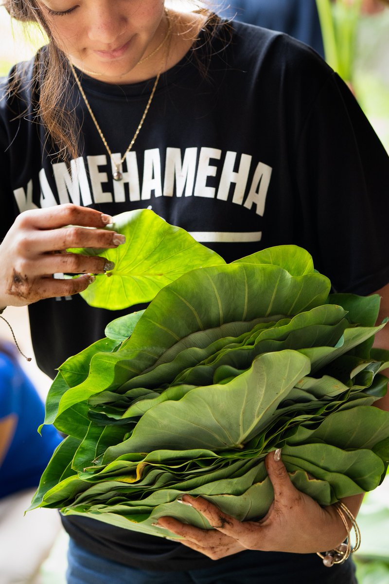 Kamehameha Schools tweet media