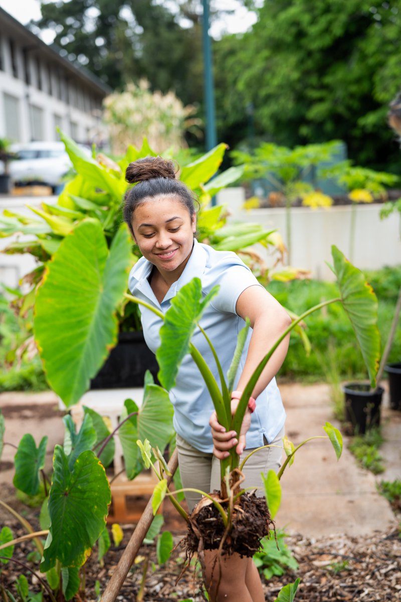 Kamehameha Schools tweet media