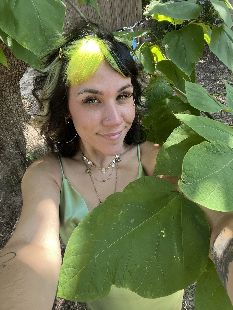 maggadelic's tweet photo. Hello 🌿 https://t.co/JnzTbpvP1w