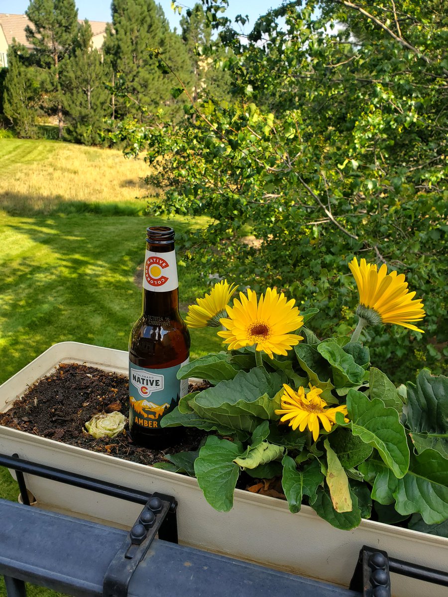 BonkersBroncos's tweet image. Earned the privilege. Happy Birthday Colorado!  #ColoradoNative #BroncosCountry