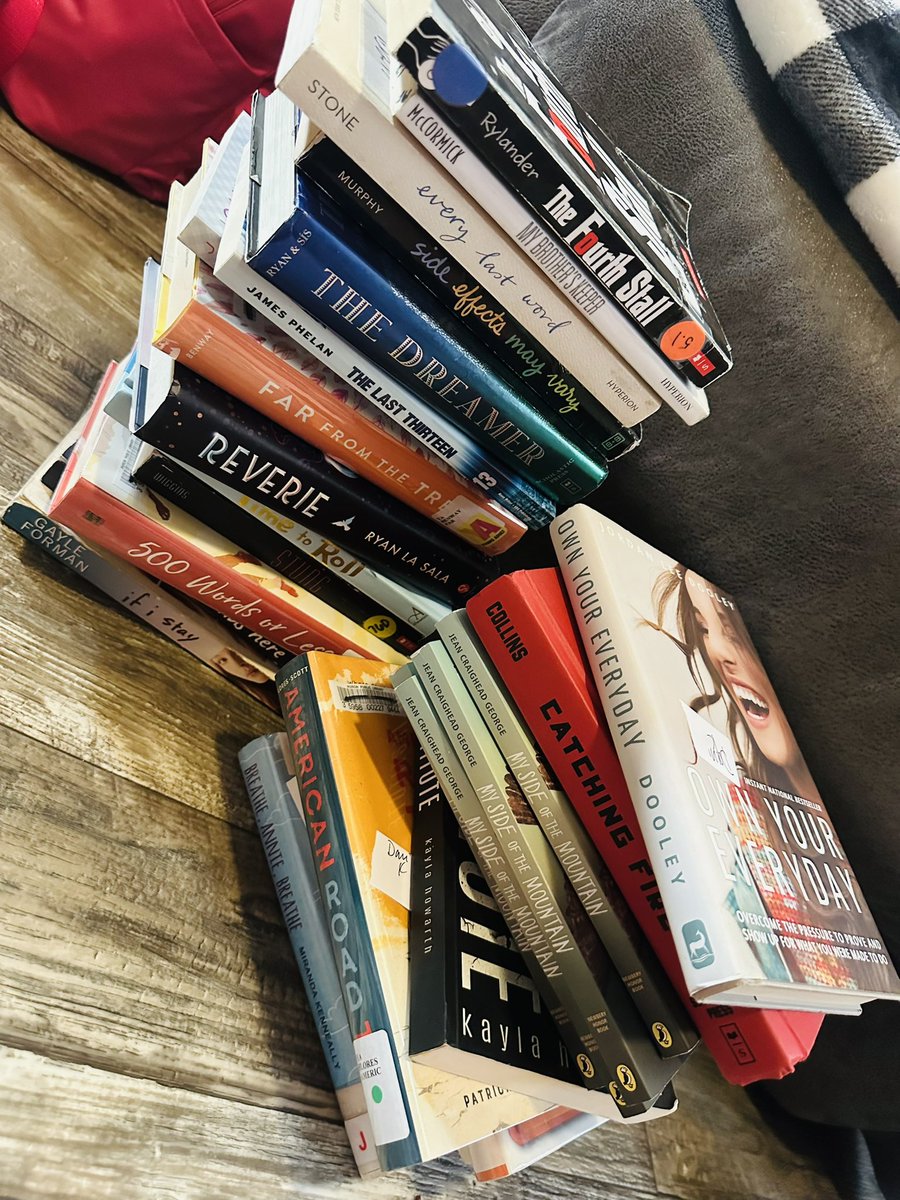 The school countdown is on… book a day challenge?😝