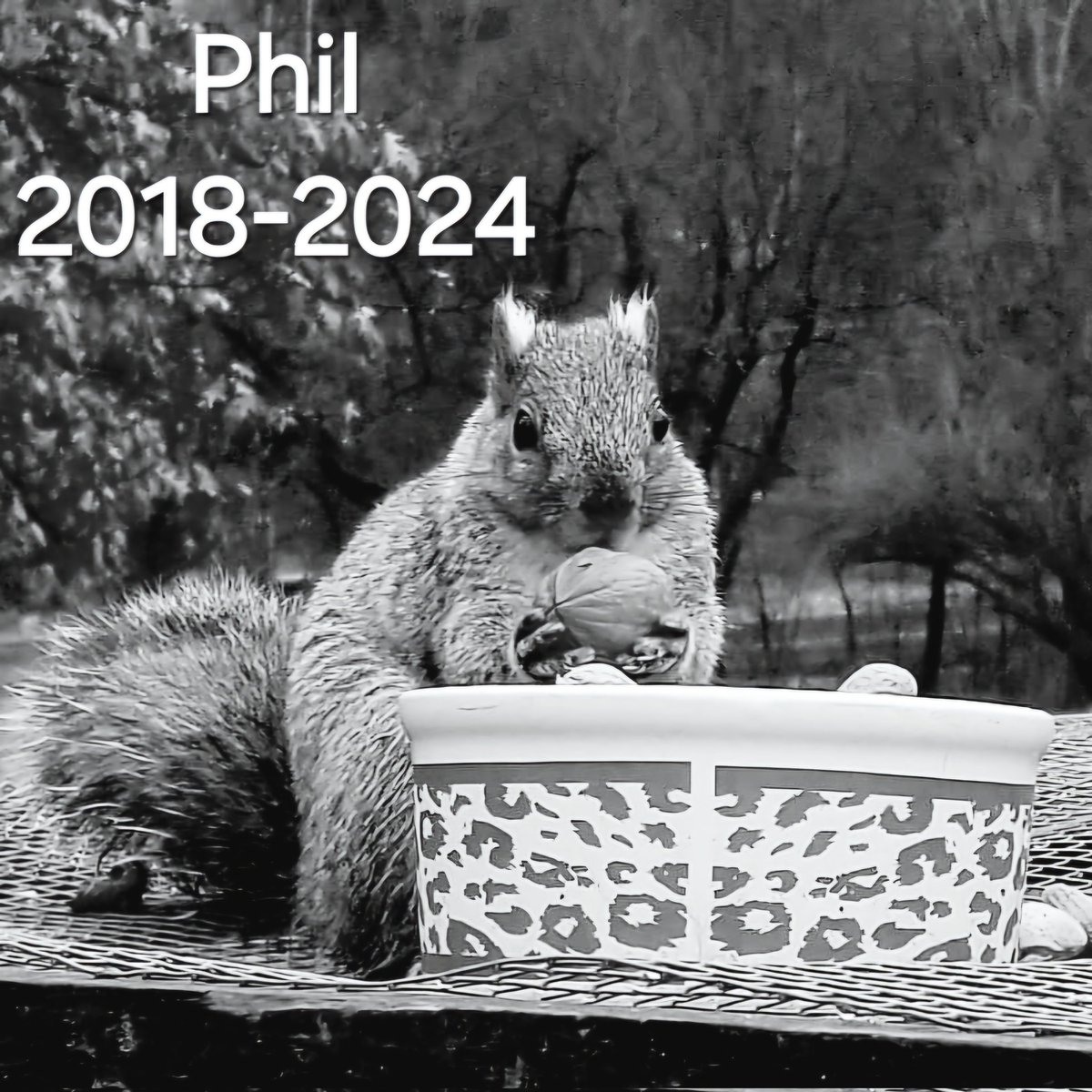 FourwandsW's tweet image. Devastated.
Please forgive me if I am not responding to messages right away.
😭😭💔🌈